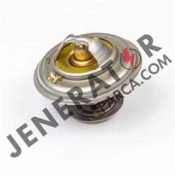 Termostat - Thermostat 2485C034